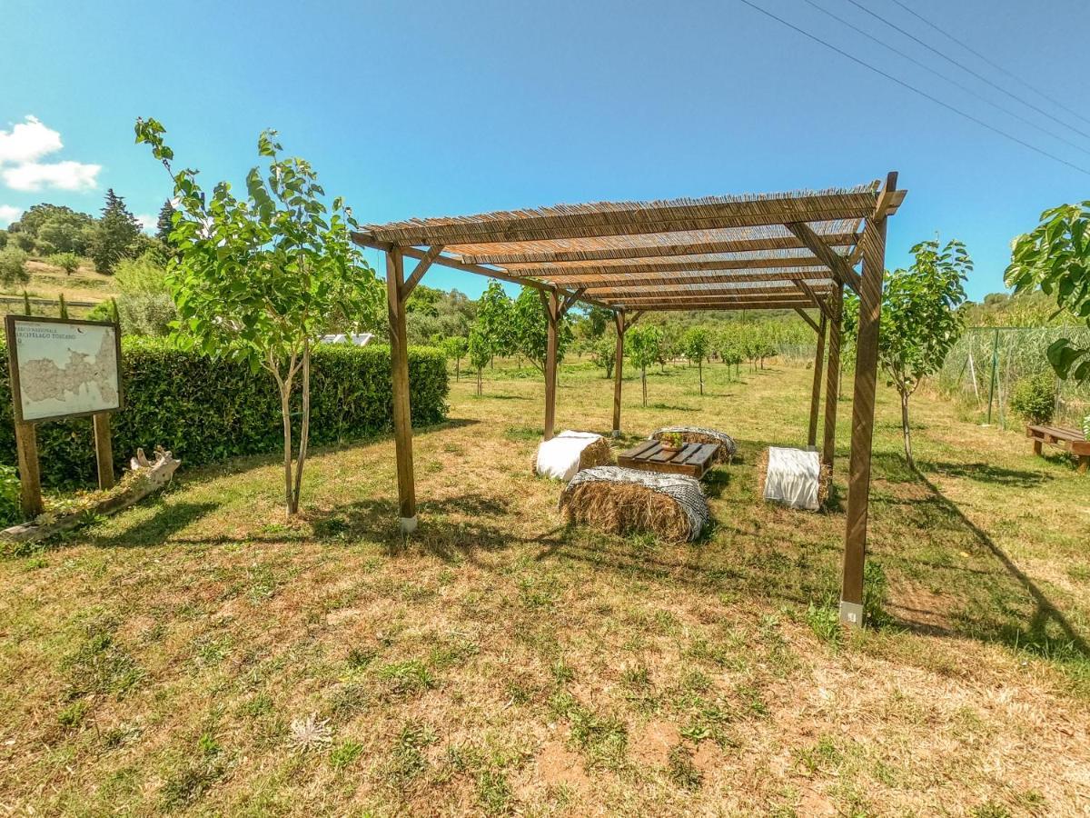 Apartament Bed & Bike Casa Dei Papi Portoferraio Zewnętrze zdjęcie